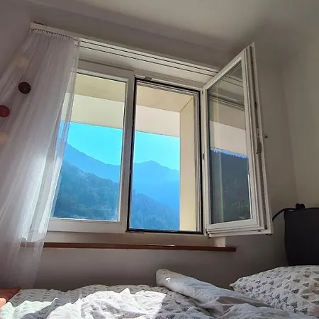 Haus Siegfried アパート