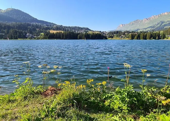 Appartement Haus Siegfried *